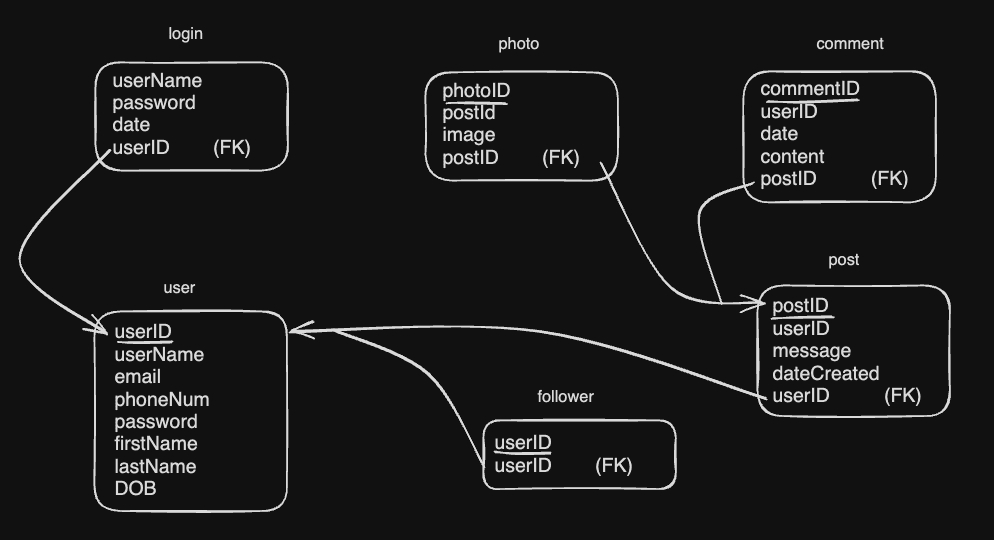 Schema for my social media application